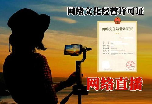 北京順義區(qū)網(wǎng)絡文化經(jīng)營許可證代辦費用詳解與急速辦理指南